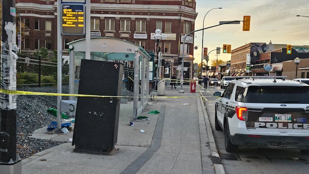 Man, woman charged in Osborne Village assaults that injured 2 people
