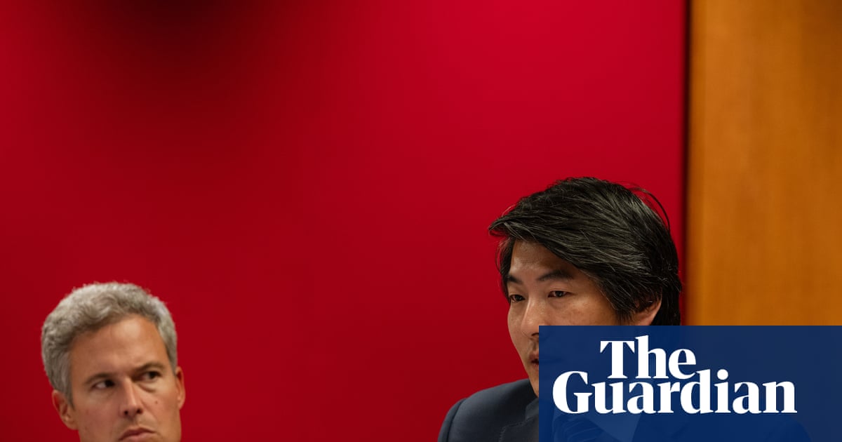 OpenAI has ‘work to do to rebuild trust’ in Australia, executive tells AI inquiry | Australian media