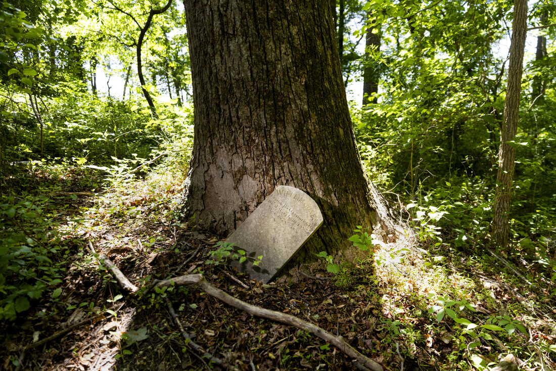 Grave markers for Black boys that died while at the House of Reformation and Instruction for Colored Children in Cheltenham, Md., in the forested area across the street from the facility.