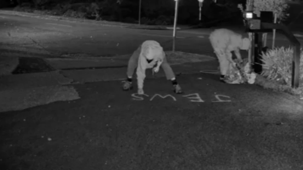 Screenshot from homeowner's surveillance video. Courtesy of the homeowners.