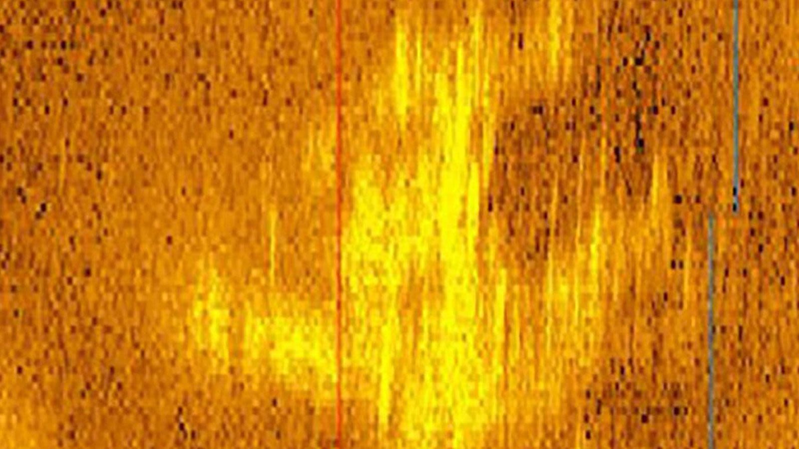 Sonar image of the seafloor before the search