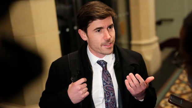Liberal MP calls for more safeguards in new bill to fast-track development projects
