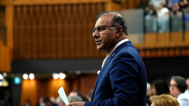Liberals look to amend 31 laws at once in attempt to reduce red tape