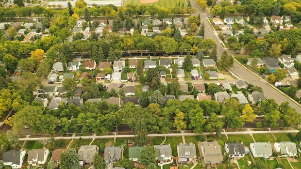 Alberta government to force Edmonton to change infill rules
