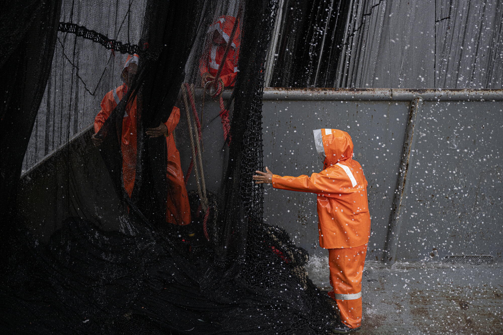 Fishermen carry out a fishing task aboard an anchovy boat