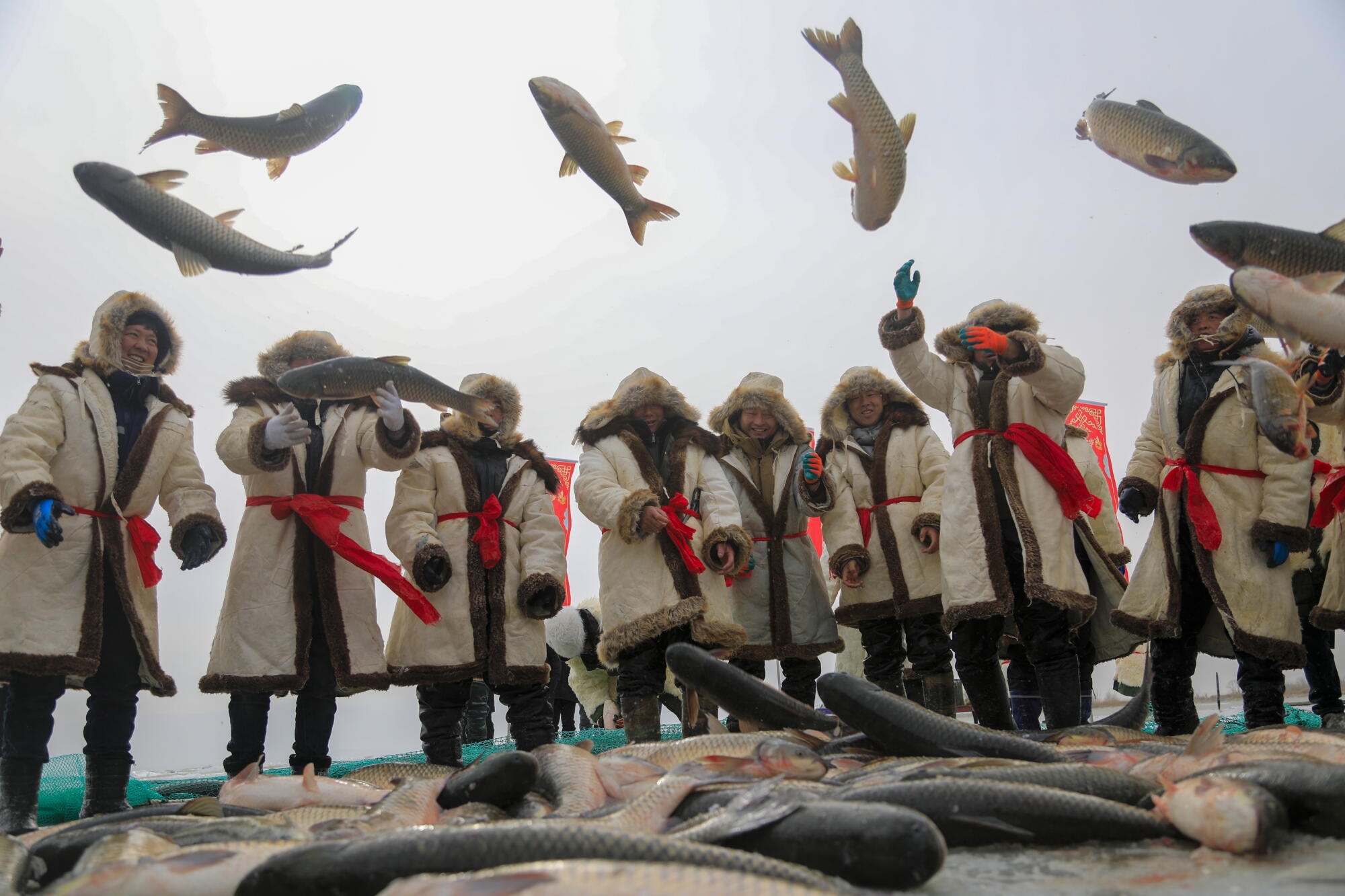 Fishermen pull a net of fish caught from ice-covered Bosten Lake