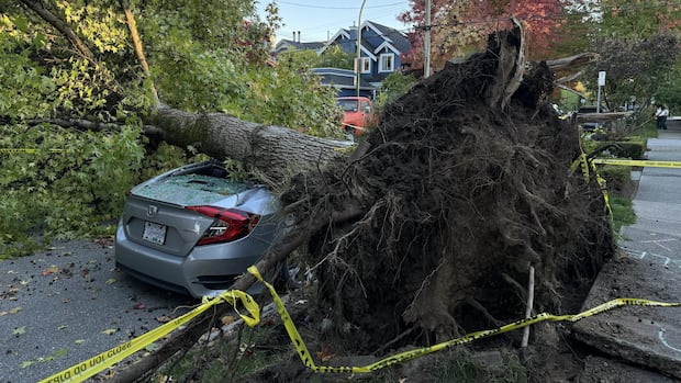 Strong winds topple trees, knock out power to thousands in B.C.'s Lower Mainland