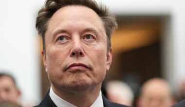 Trolling or part of a larger plan?: Why Elon Musk waded into the separatism debate