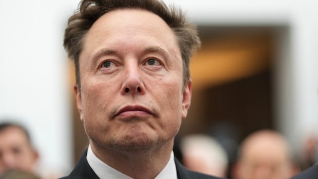 Trolling or part of a larger plan?: Why Elon Musk waded into the separatism debate