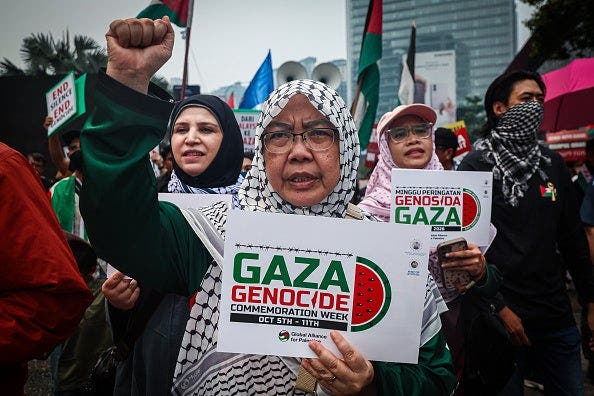 Global Alliance for Palestine's protest playbook revealed by Fox News