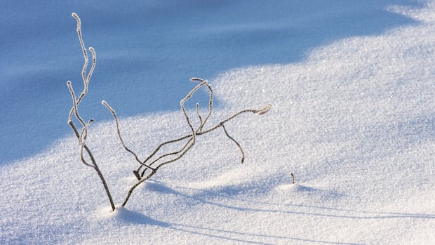 Special weather statements issued for parts of Saskatchewan going into long weekend