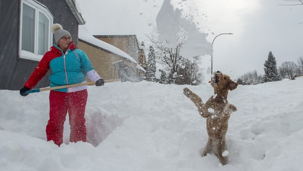 Why is Quebec Canada's happiest province?