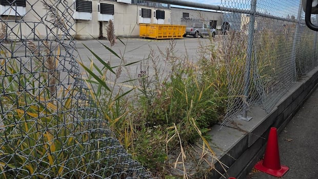 7 food charity trucks out of service after catalytic converters stolen from Etobicoke yard: CEO
