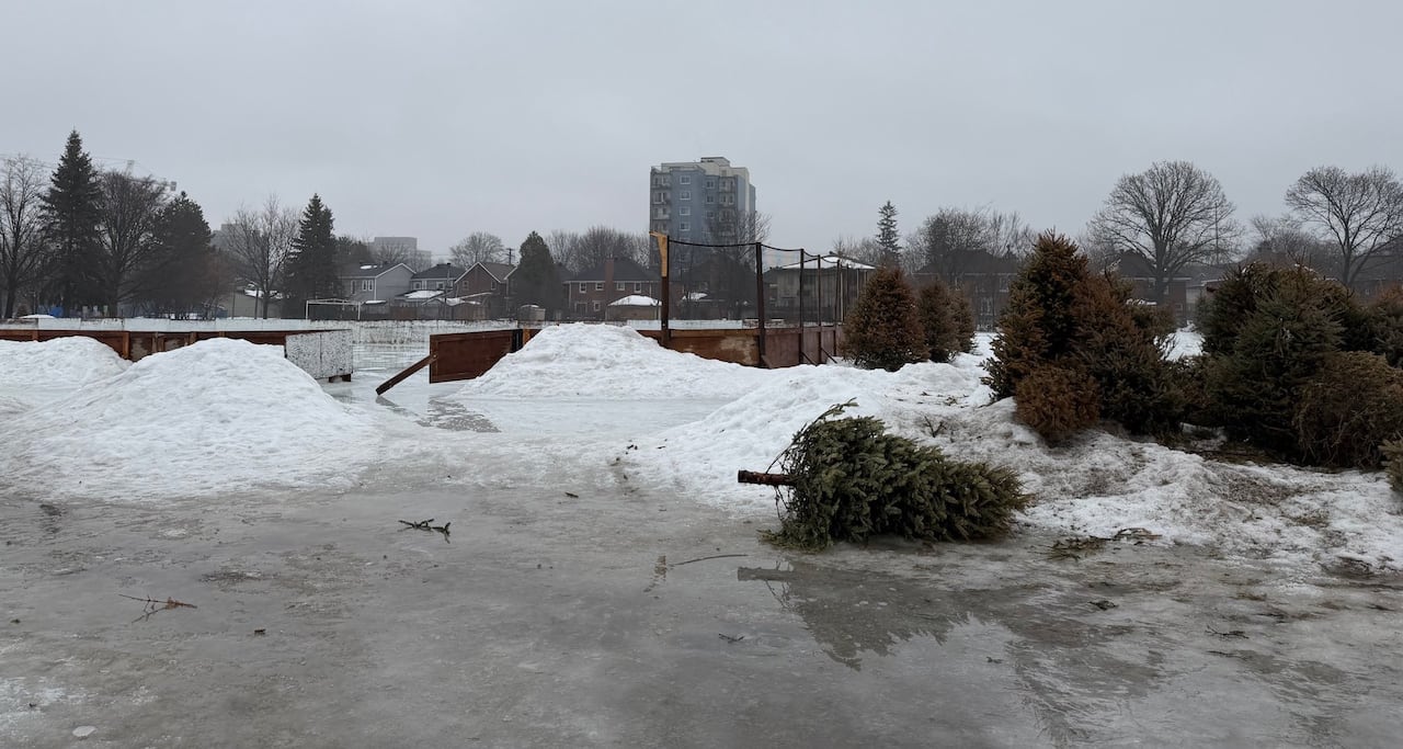 Dead trees lay over a melting mound of snow