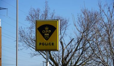 Police report multiple deaths in Hwy. 401 crash outside of London