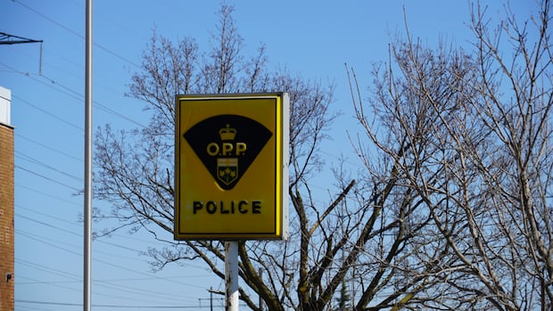Police report multiple deaths in Hwy. 401 crash outside of London