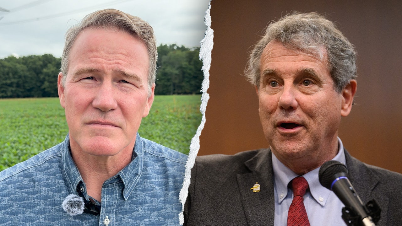 Sen. Jon Husted fights tight Ohio Senate race, blasts Sherrod Brown