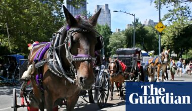 New York City moves to ban horse-drawn carriages | New York