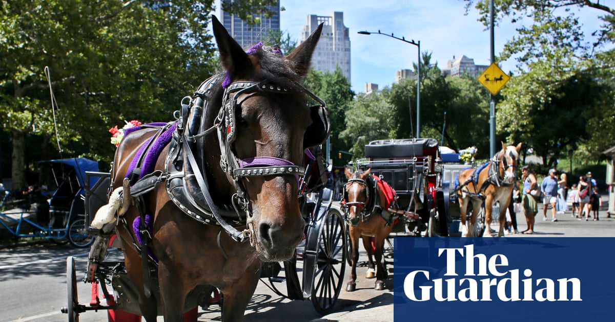 New York City moves to ban horse-drawn carriages | New York