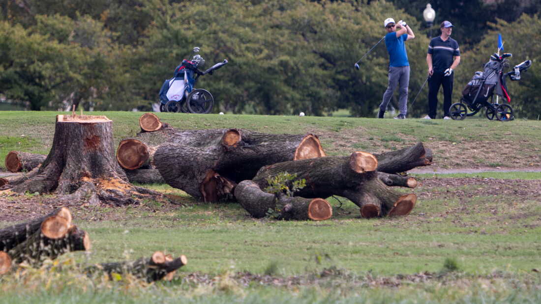 The Trump administration abruptly cut down more than 400 trees at Washington D.C.’s historic East Potomac Golf Links last weekend. A federal judge has ordered testimony from two high-level officials with the Interior Department over the recent abrupt removal of trees; the judge plans to hold another hearing Oct. 19.