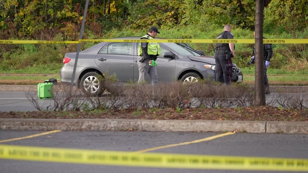 Pedestrian struck, killed in Barrhaven