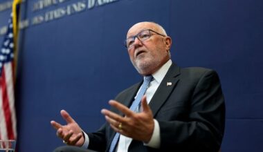 U.S. 'monitoring' Canada for signs of midterm election interference, ambassador says