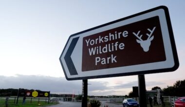 What to know about the deadly U.K. tiger attack — and the 'offensive' video shared by Trump