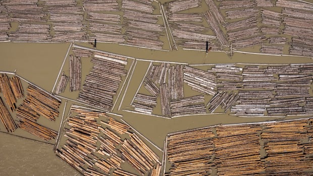 Tax total for Canadian softwood lumber exports set at almost 35% after U.S. review