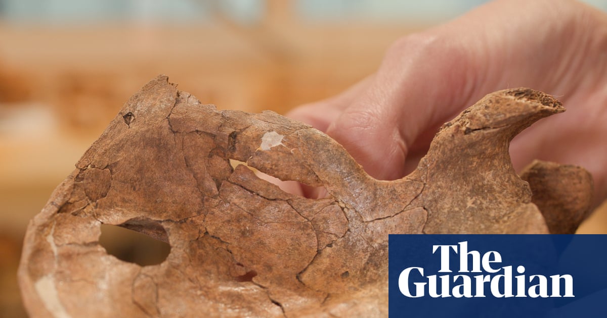 Neanderthal remains may be earliest human ancestor find killed by a spear | Neanderthals