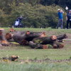 The Trump administration abruptly cut down more than 400 trees at Washington D.C.’s historic East Potomac Golf Links last weekend. A federal judge has ordered testimony from two high-level officials with the Interior Department over the recent abrupt removal of trees; the judge plans to hold another hearing Oct. 19.