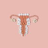 Pills in shape of female reproductive system on a pink background.
