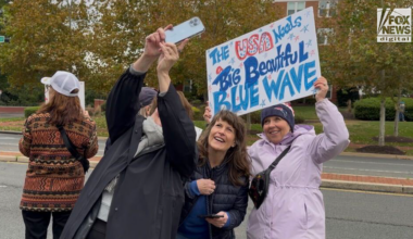 No Kings protesters openly call to vote blue despite nonpartisan rules