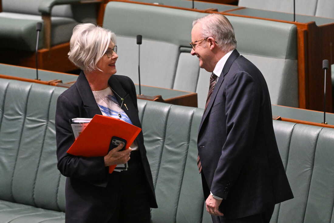 Australian Prime Minister Anthony Albanese speaks to Independent member of parliament, Helen Haines, in the House of Representatives at Parliament House in Canberra, Australia, Tuesday, Aug. 18, 2026.