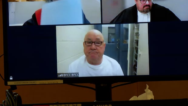 Man faces 7-year sentence for shooting snowmobiler in head