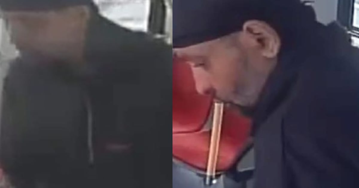 TTC bus unprovoked assault: Man arrested
