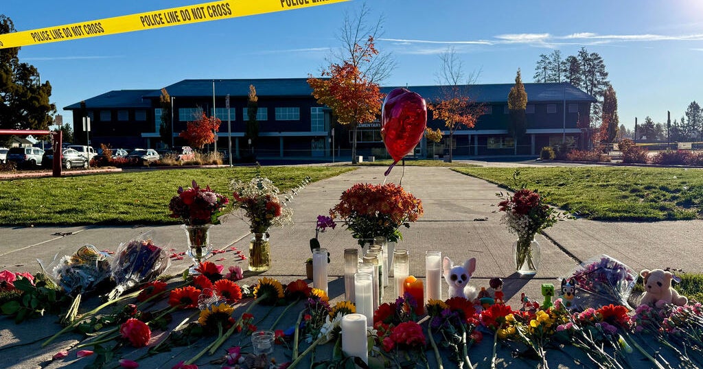 Gun used in Oregon elementary school shooting was birthday gift from shooter's mom, sources say