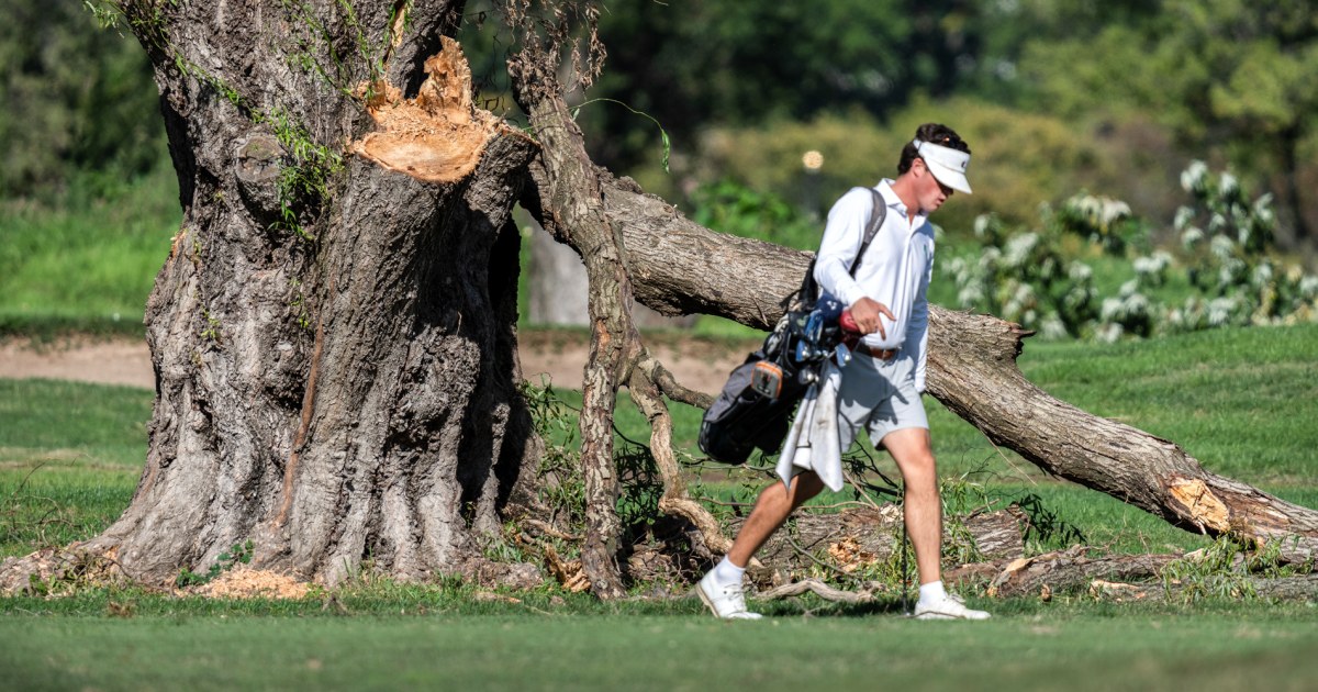 Judge leans toward extending halt on tree clearing at DC golf course where Trump says redesign should start ‘immediately’