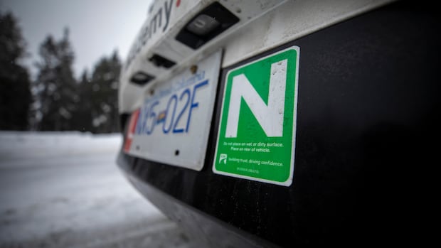Novice drivers in B.C. now eligible to get full licence without 2nd road test