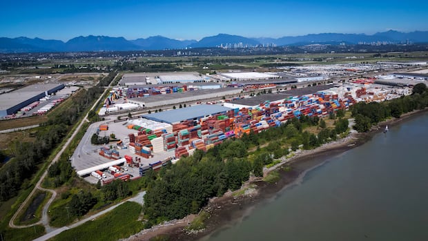 Landmark Cowichan Nation appeal sparks warnings of 'chaotic situation'