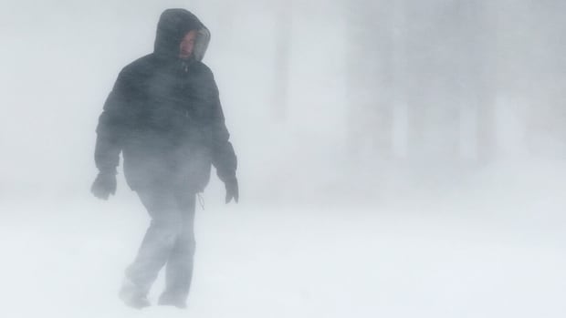 Fall storm could bring 15-25 cm of snow to northern Manitoba