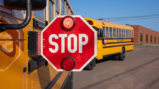 Charlottetown mayoral candidate facing fine for not stopping for school bus