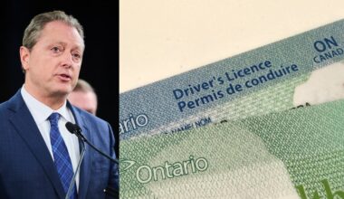 Ontario is planning to launch digital IDs. Here’s what you need to know. - CTV News