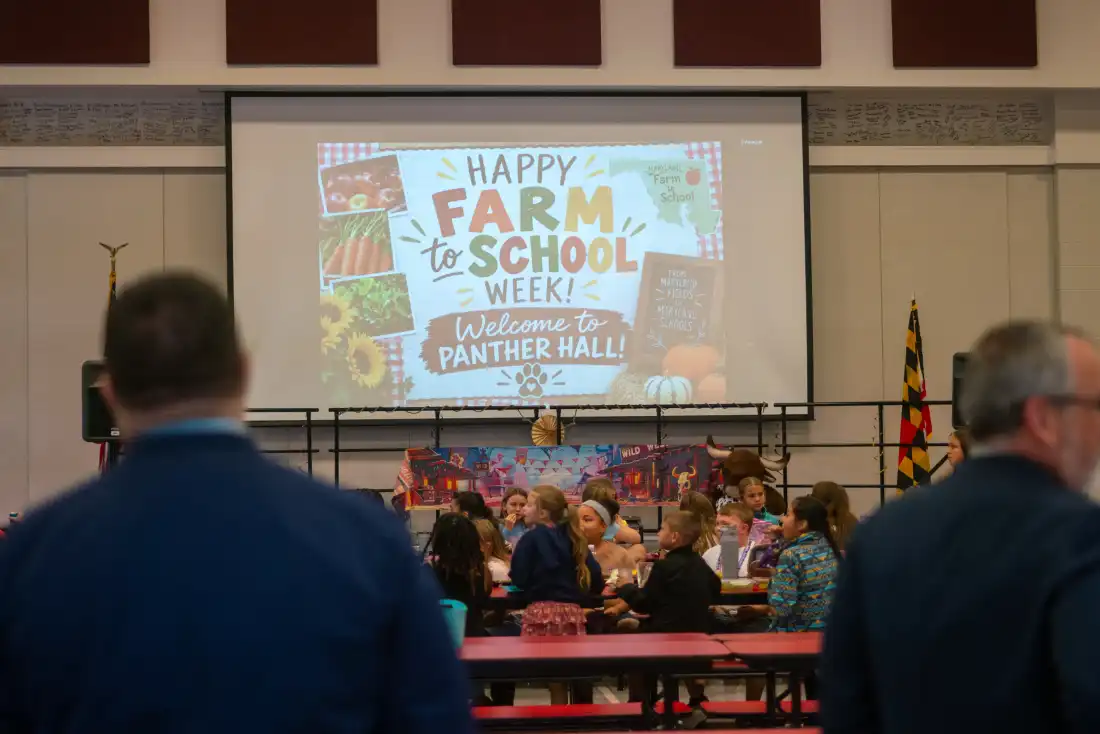At Preston Elementary School on Maryland’s Eastern Shore, catfish sandwiches are a highlight of a local food initiative.