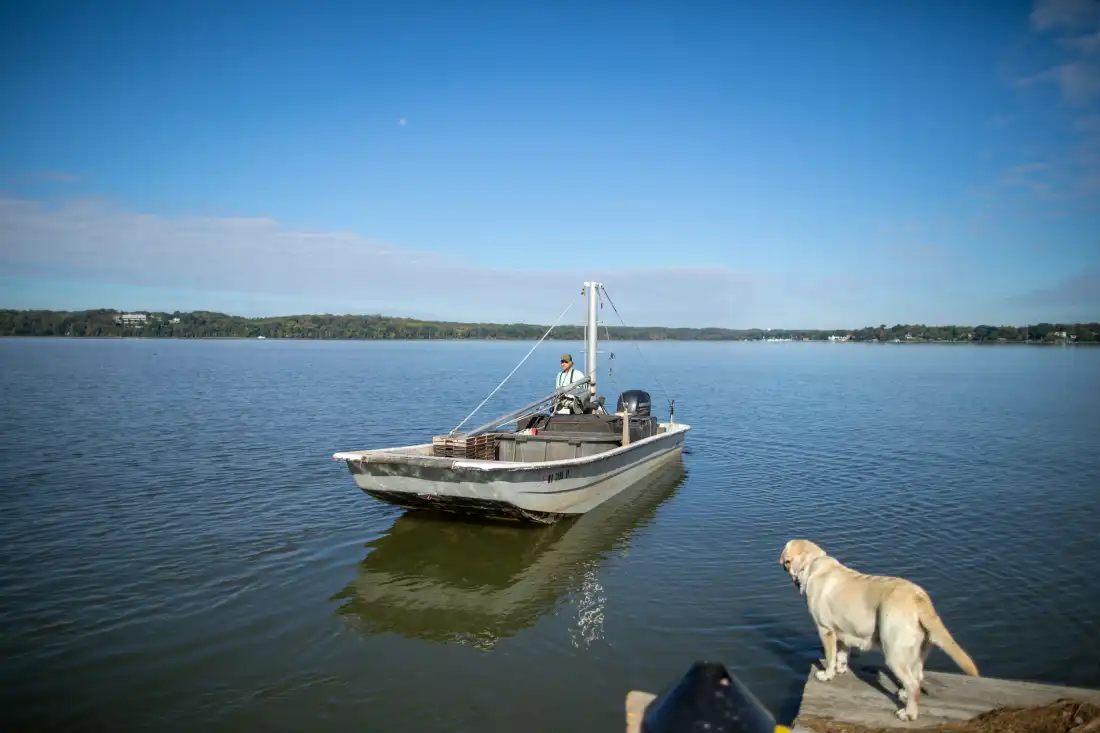 Rocky Rice likes to average at least 1,200 pounds of blue catfish on each outing on the lower Potomac River. The invasive fish is now his primary target.