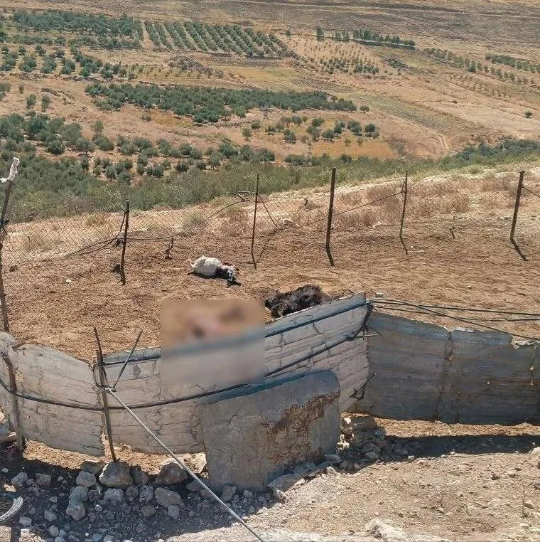 Israel Extends ‘Sufa 53’ Project in Southern Quneitra, Seizing Farmland