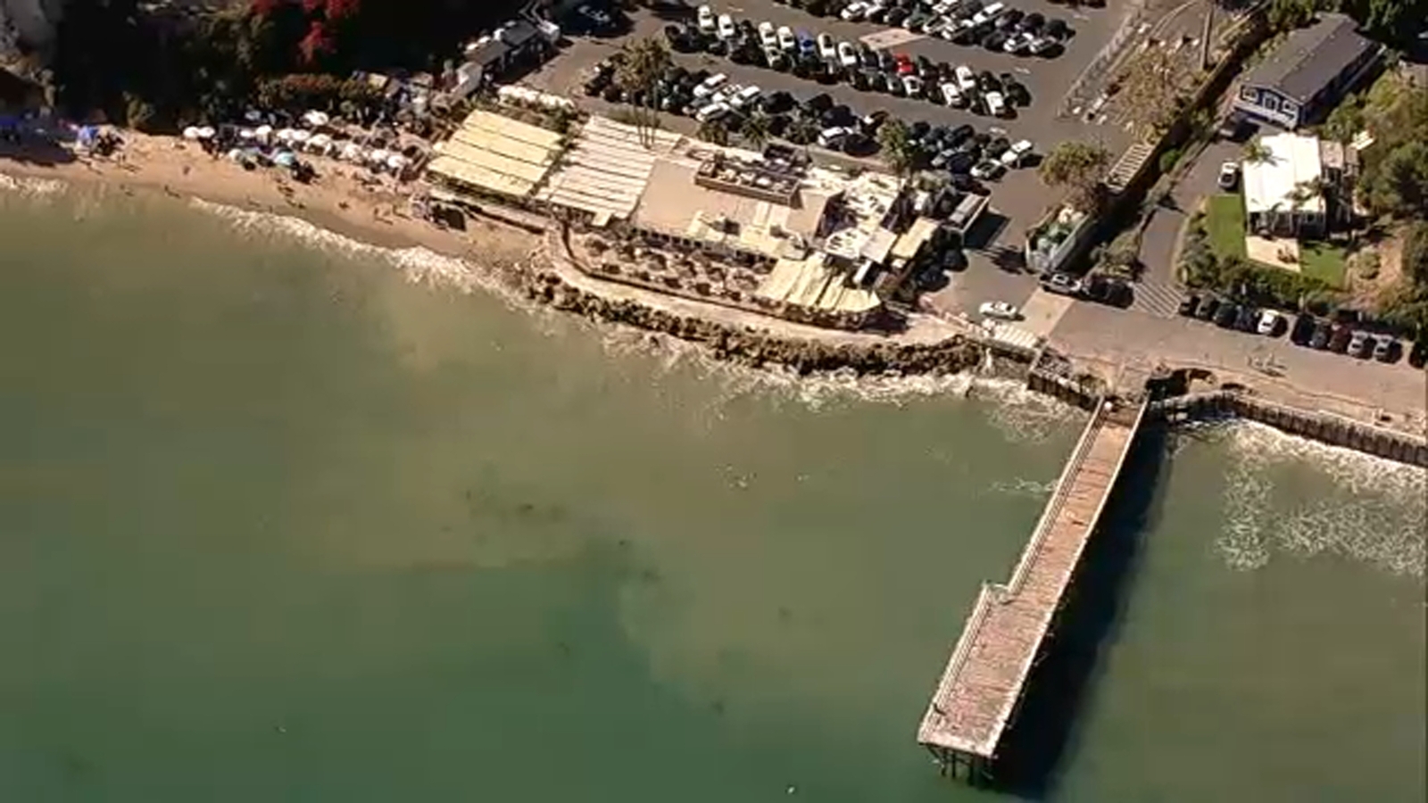 Kayaker bitten by shark twice while trying to release it off Malibu coast, authorities say