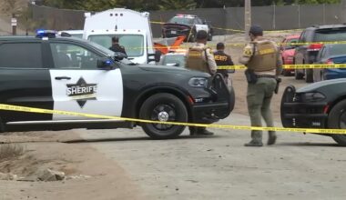 'Baby Angelita' death: Newborn was possibly run over by 14-year-old mom in incest case, officials say