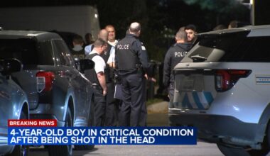 Jeffrey Manor, Chicago shooting today: 4-year-old boy found shot in head at home in 2200-block of East 99th Street, police say