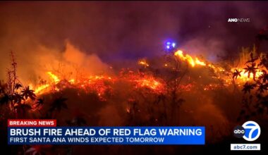 Brush fire breaks out in Brentwood as Santa Ana winds set to return