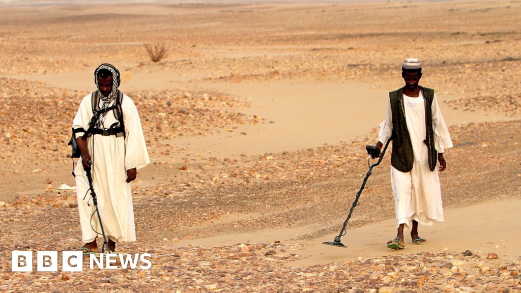 Dozens of gold prospectors killed in strikes on Egypt-Sudan border, rights group says - BBC